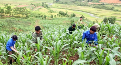 Young intellectuals help boost socio-economic development in border areas